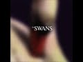 The Swans - Goodbye My Friend  (Photographs &amp; Letters)