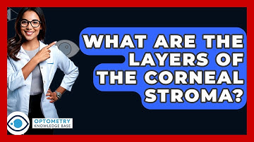 What Are The Layers Of The Corneal Stroma? - Optometry Knowledge Base