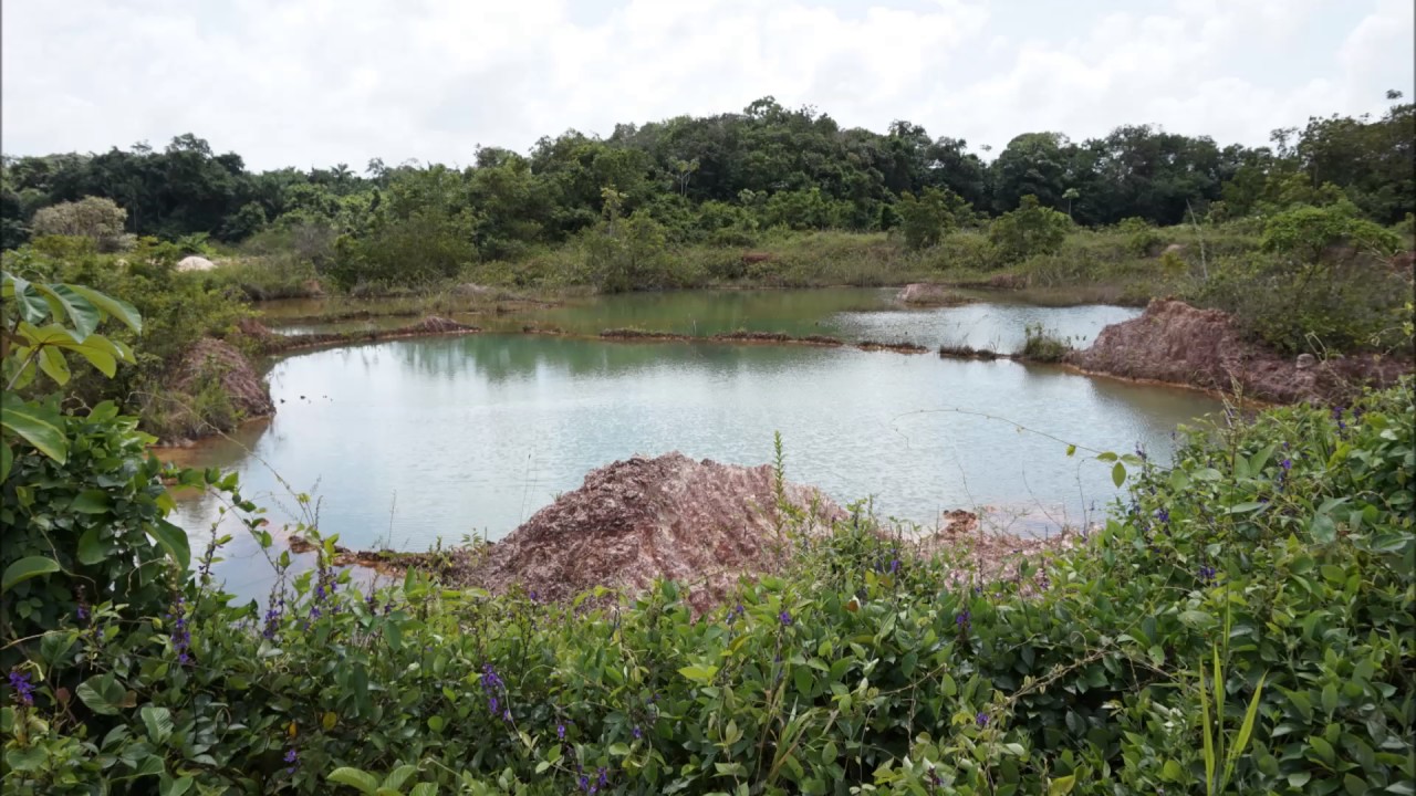 Reactie Ramon Mac Nack op vragen over zijn boek.