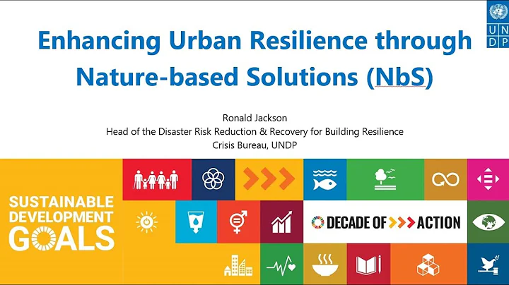 Enhancing urban resilience using nature-based solutions: Strategies to reduce disaster risks (panel)