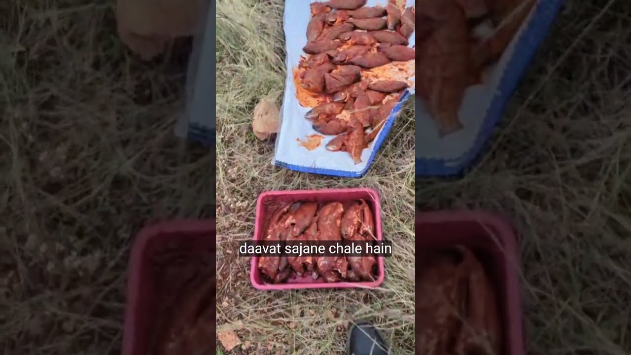 Wild Tilapia Catch and Cook At A Beautiful spot