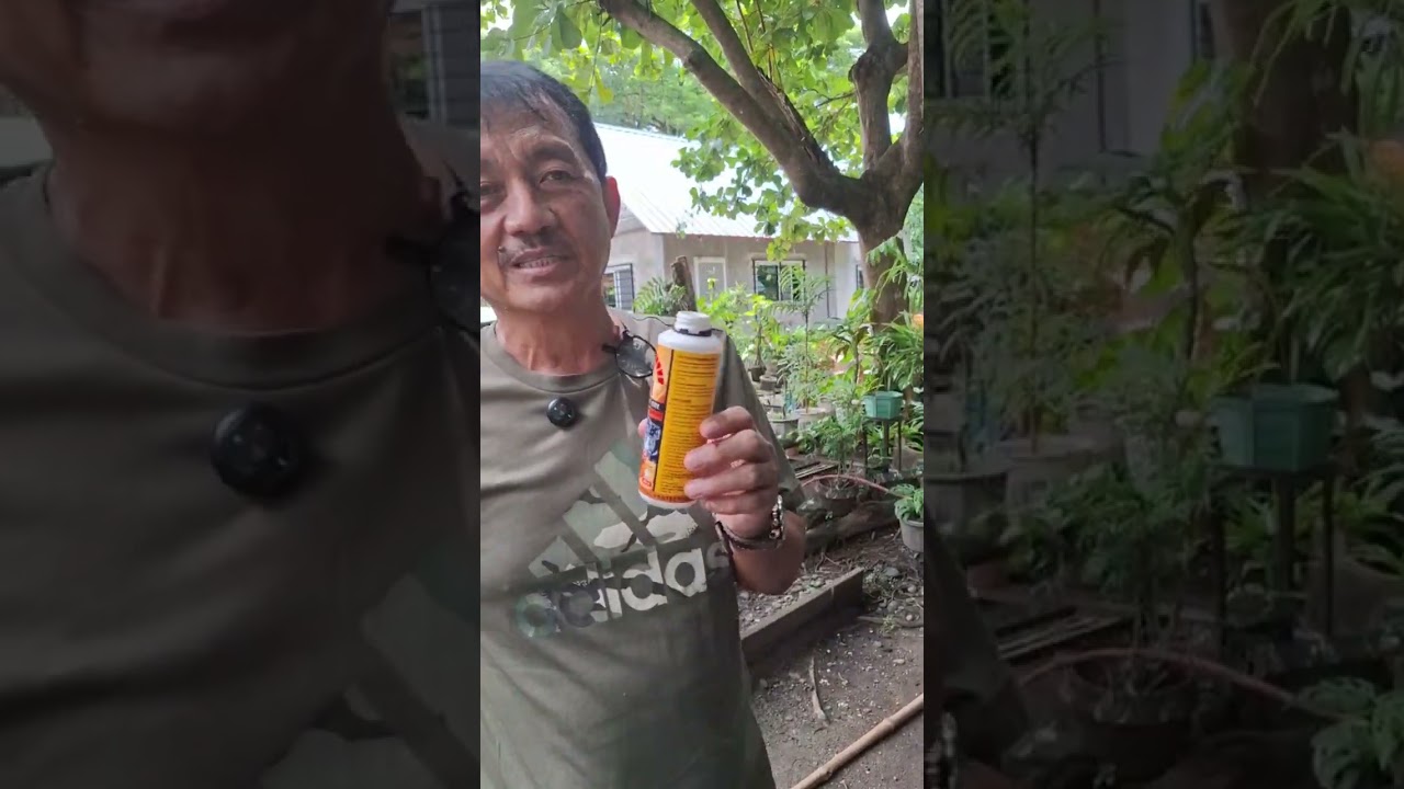 Pwede ba lagyan ng Jet 1 Extreme Oil Engine Protector ang bagong sasakyan?