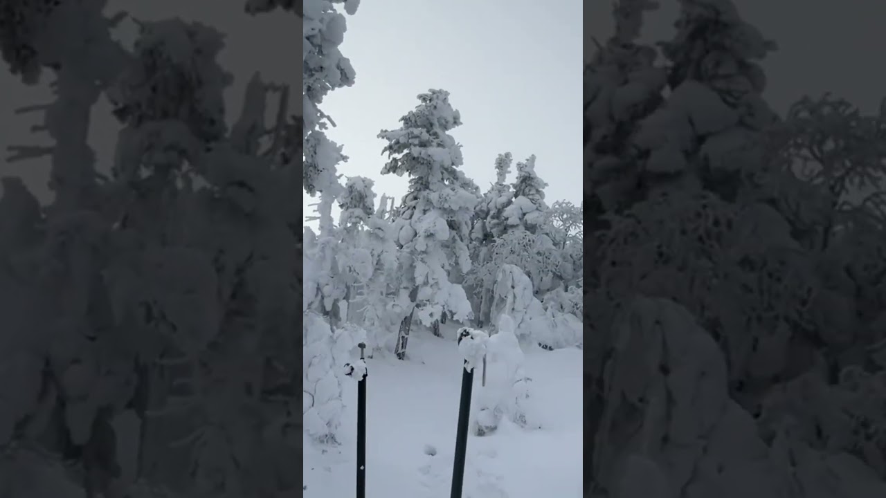 Winter wonderland in New Hampshire.      