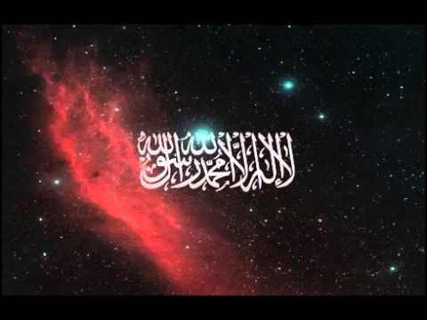 محمد حسين عامر سورة النجم 