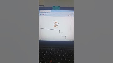 scratch cat falls down the stairs remade
