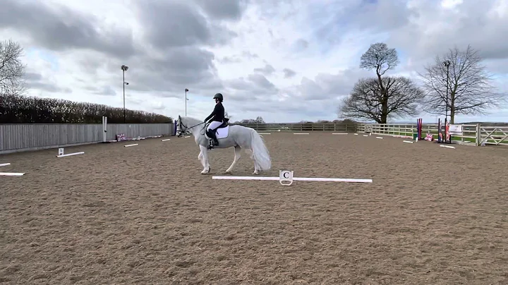 ECCTG team SENIOR NOVICE CHAMPS 20/21 Christina St...