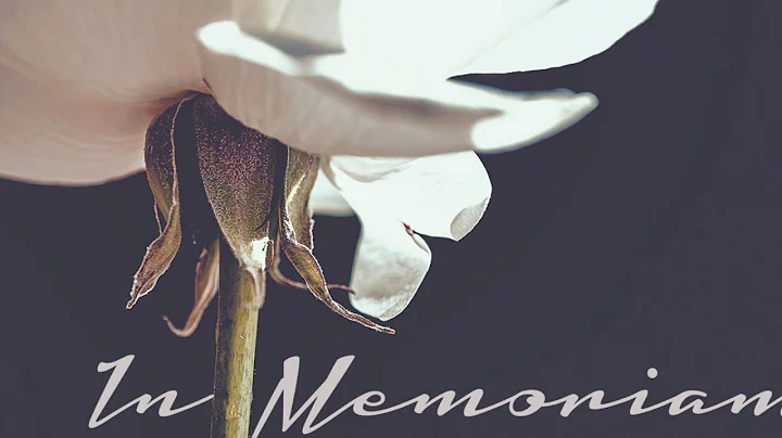 Funeral Mass for Diane O'Donnell