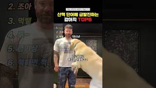 산책단어에 급발진하는 강아지Top6#랭킹쇼츠