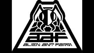 Alien Ant Farm - Belong (rare)