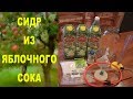 Сидр из яблочного сока в домашних условиях / рецепт + дегустация