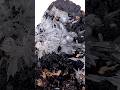 Vidéo: Aragonite, calcite, Gergovie, France, 80 grammes