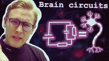 Simulating Neural Signals with RC Circuits