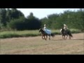 Cavalli al galoppo...noi donne del vecchio West...una pazza Passeggiata nel parco