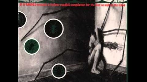 STG -  Shallow Grave (Date With An Embalmer Mix)