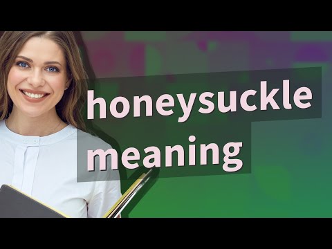 Honeysuckle19: Experience The Honeysuckle19 Difference
