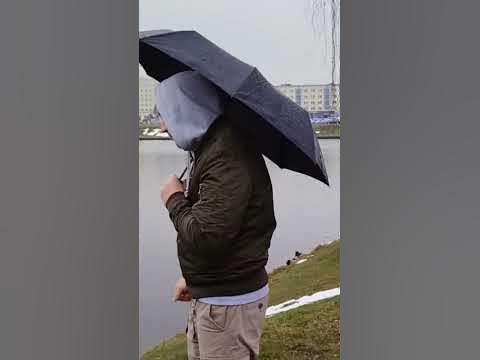 утёнки - YouTube