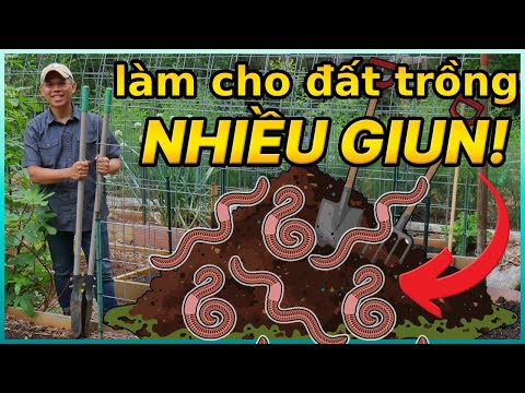 Video: Ứng dụngMulch Trong Vườn - Cách Trải Mulch Trong Vườn