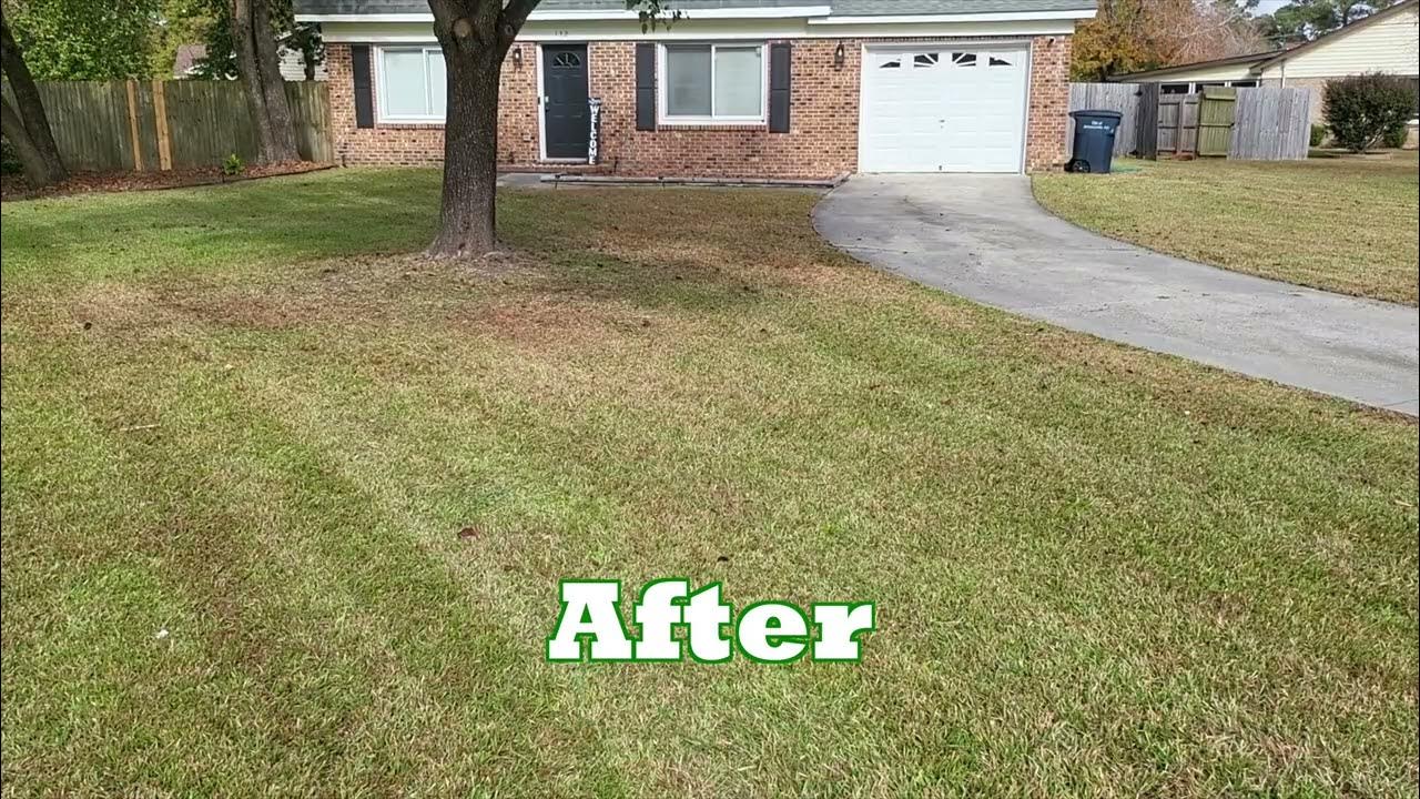 Mulching services Before and after! YouTube