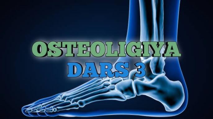 Eski rus fohishalar porno Orangutan orgazm tovushlari