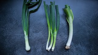 Beginner's Guide to ONIONS