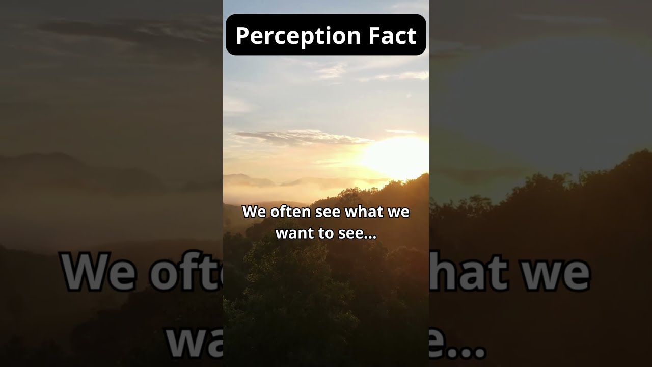 Selective Perception: Reality vs. Illusion 🌆👓 