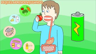 El sistema digestivo para niños. Video del aparato digestivo y sus partes. De PequesAprendenJugando