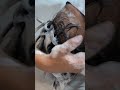 Hair Salon Wing #asmr #shampoo #shorts #barbershop