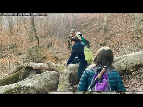 Leatherwood Creek - Balance Rock Trail