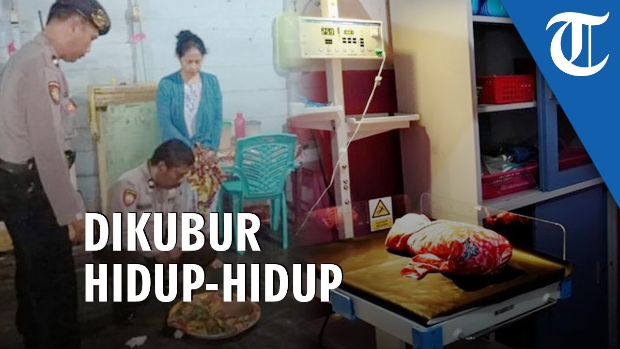 Warga di Palopo Temukan Bayi Dikubur Hidup-hidup di Kolong Rumah, Berawal dari Dengar Suara Tangisan camera iphone 8 plus apk