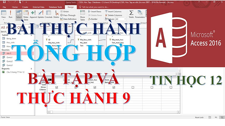 Bài tập thực hành 8 9 tin học 12 năm 2024