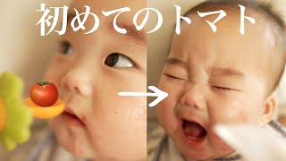【離乳食】初めてトマトを食べた赤ちゃんの反応が可愛い!!【生後7ヶ月】