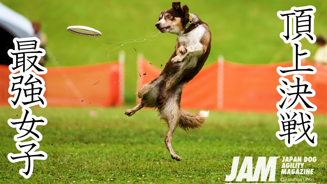 ディスクドッグ】決勝戦！頂点は女子‼️そのプレースタイルは素敵すぎ