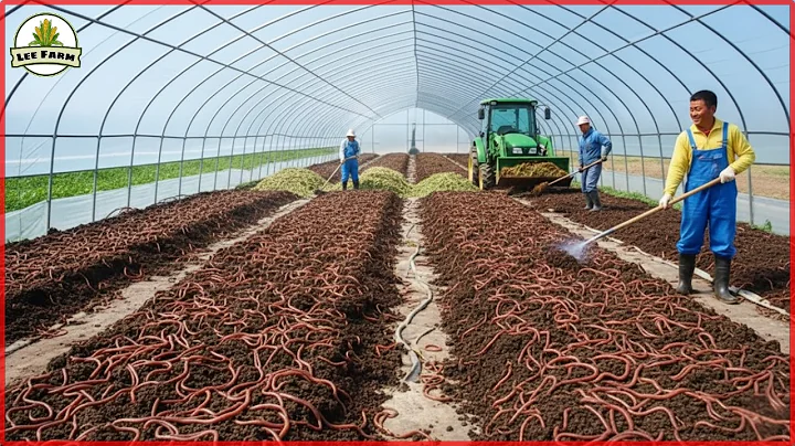 How China Built the World’s Largest Worm Farm – You Won’t Believe the Scale!