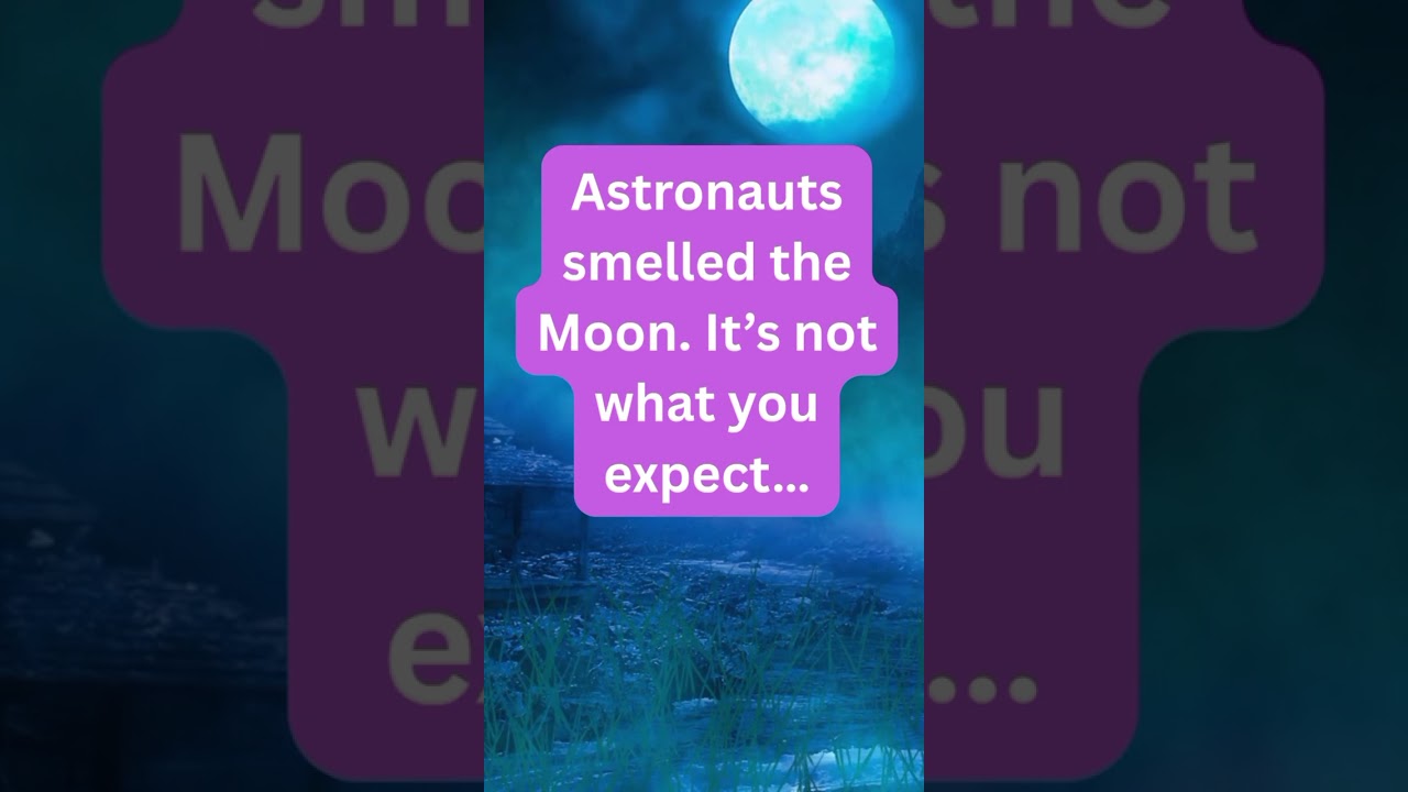 What the Moon Smells Like Will Surprise You