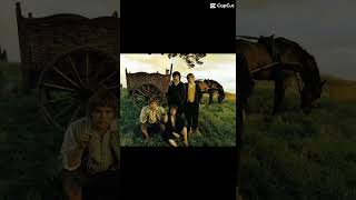 Frodo,Sam,Marry and pippin♥️#lordoftherings