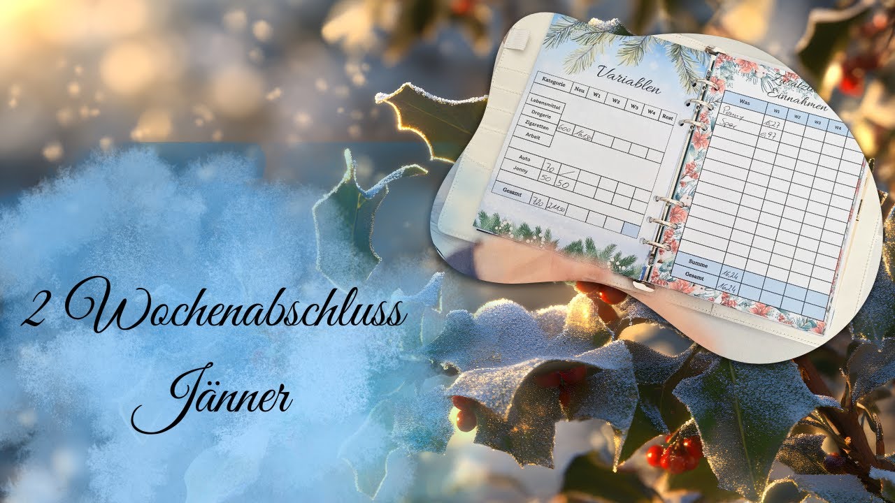 2 Wochenabschluss ❄️ Jänner ❄️echte Einnahmen und Ausgaben