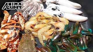 Fresh Seafood | Spicy Seafood Overload