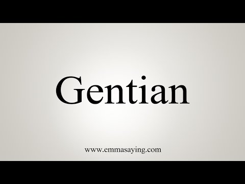 Video: Gentian Keltainen