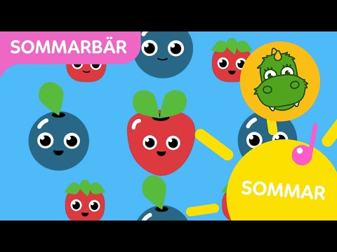 Video: Röda Skimmia Bär