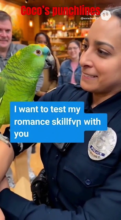 Mr. Coco wants to test his romance skills