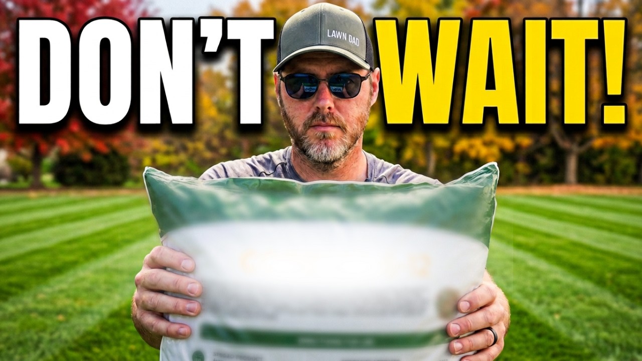 The Secret to a BETTER Spring Lawn Starts with This Fall Routine!