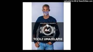 Toolz Umazelaphi - Pharanoid
