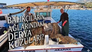 Balikçilarin Ağlari Ne Kadar Balik Avlamiş?