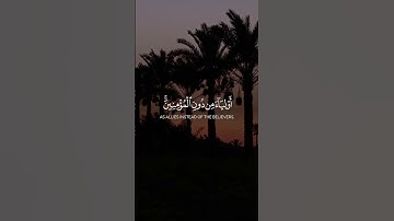 القران الكريم قرآن كريم #القرآن_الكريم #قرآن #المصحف #الرحمن #قران_كريم #لايك #اكسبلور #راحة_نفسية