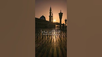 سورة الفرقان {الآية 27} بصوت الشيخ خالد الجليل ❤️❤️
