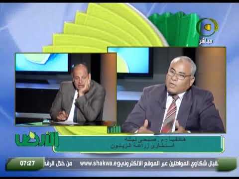 الارض المهندس صبحي ليلة سلفات النشادر الأنسب للأراضي الصحراوية لخفض رصم الحموضة