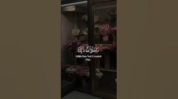 { هُوَ الَّذِي جَعَلَ الشَّمْسَ ضِيَاء وَالْقَمَرَ نُورًا } ~ سوره يونس ~ عبد الرحمن مسعد #قرآن