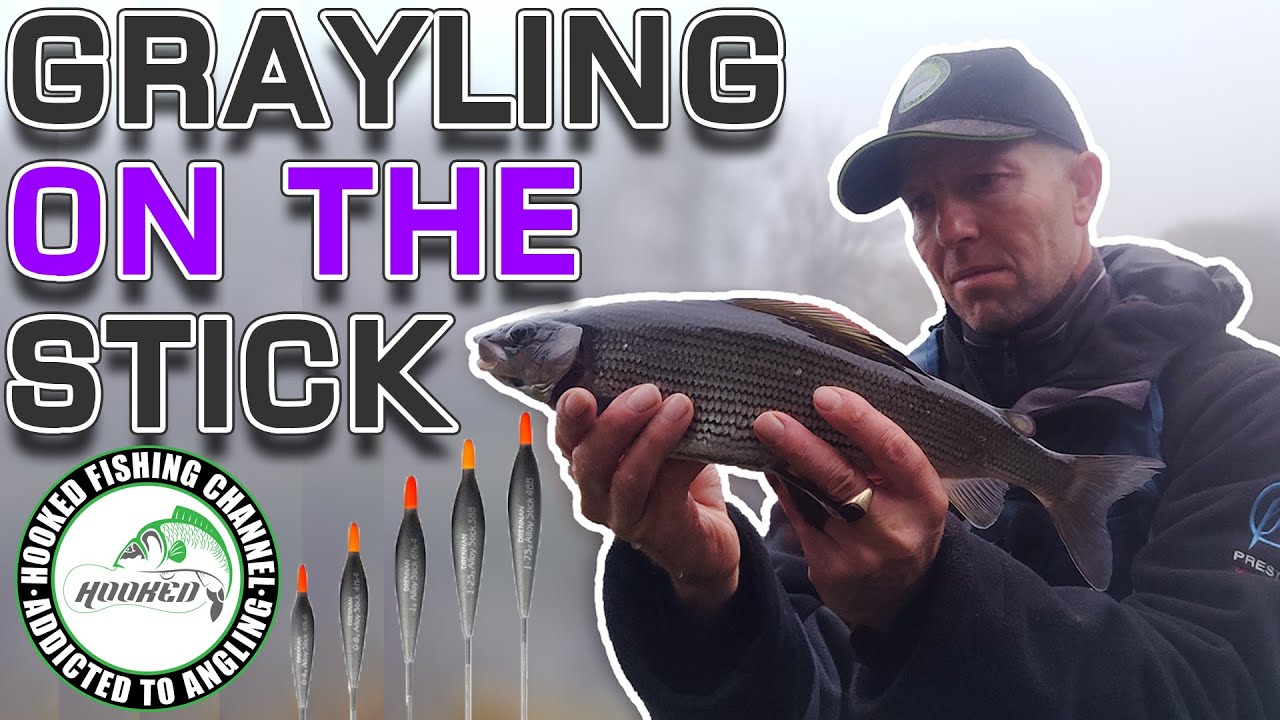 Stick Float Fishing for Grayling on the River Wharfe YouTube