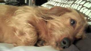 Man of the Hour - Norah Jones (Starring Bruce)