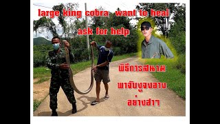 พิธีกรหล่อ#พาจับงูจงอางยักษ์ อย่างฮาๆ #Captain Snake vs. Giant King Cobra Special Forces,#กัปตันงู